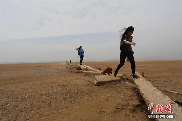 e1c8c6d062134d77b4af65f0247fbd42 e1c8c6d062134d77b4af65f0247fbd42