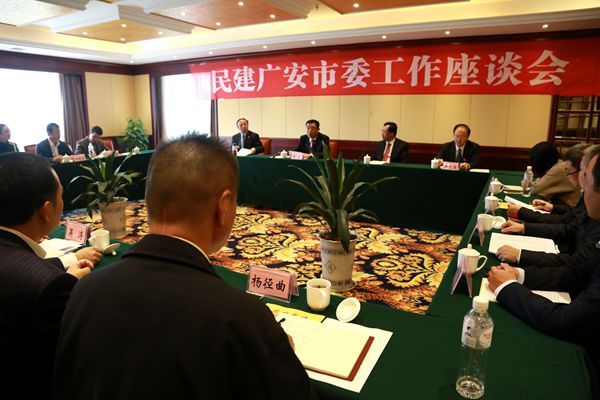 马培华与广安民建会员座谈 马培华与广安民建会员座谈