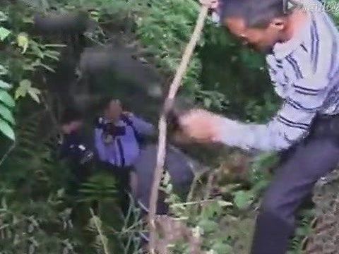 肄业大学生杀害卖淫女 肄业大学生杀害卖淫女