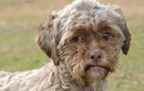 54751477274844 54751477274844