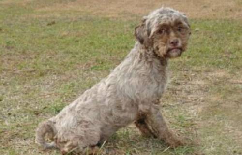 15241477274844 15241477274844