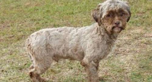 74701477274844 74701477274844