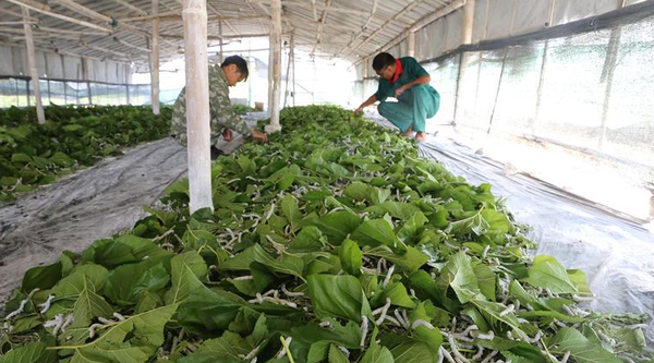 QQ截图20161024163702 QQ截图20161024163702