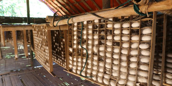 QQ截图20161024163724 QQ截图20161024163724