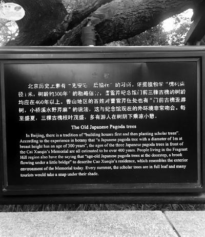 393da26b4147f5aa102efef0dea02c2e 393da26b4147f5aa102efef0dea02c2e