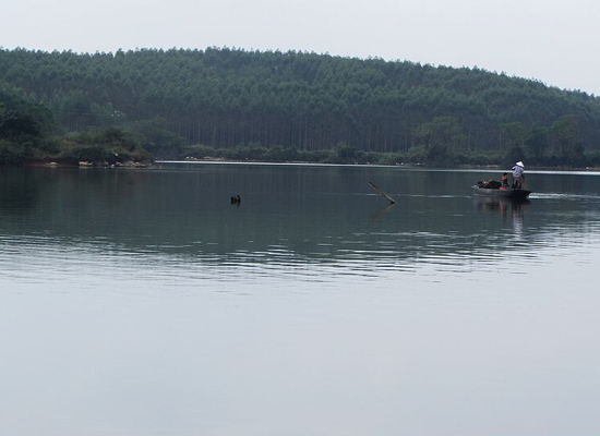 凄凄切切群群群群群 凄凄切切群群群群群