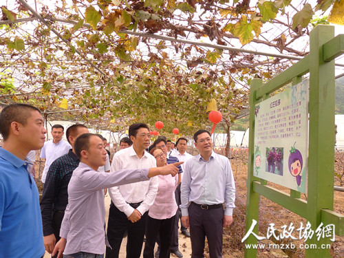 福建省政协委员为缓解“三农”融资难建言献策