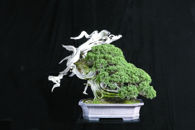 Cgqg2FgQYtGAYQO6AAFAaWnC-98387 Cgqg2FgQYtGAYQO6AAFAaWnC-98387