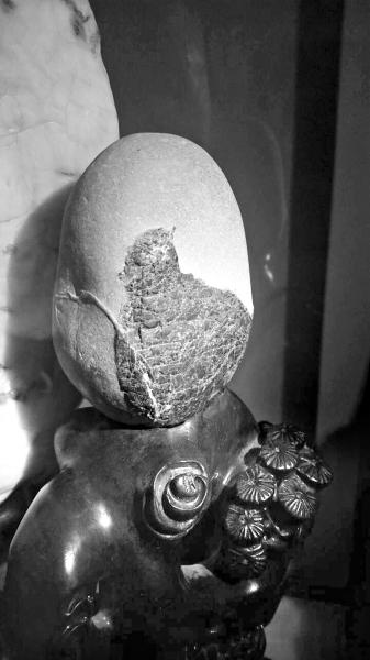 3876720130 3876720130