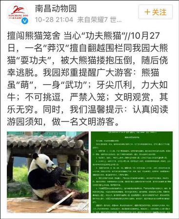 南昌动物园补充道，该男子逃离后未向园方反映情况，动物园检查之后确认美灵没有受伤或受到惊吓。
