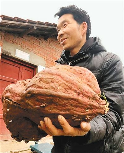 6781915715093788264 6781915715093788264