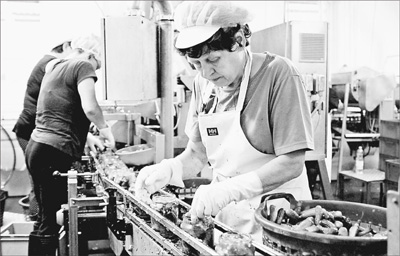 1477850403456_1 1477850403456_1