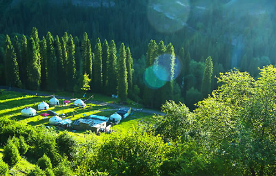 1477851013246_1 1477851013246_1