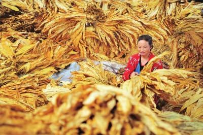 f8bc12780af8197a4b5504 f8bc12780af8197a4b5504