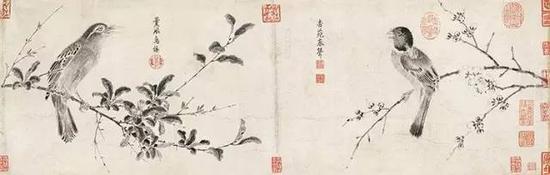 【北宋】 赵佶 写生珍禽图卷 (局部)