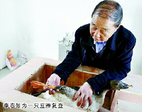 彩C2016-11-03zx501_P_1_789_1298_1230_1647 彩C2016-11-03zx501_P_1_789_1298_1230_1647