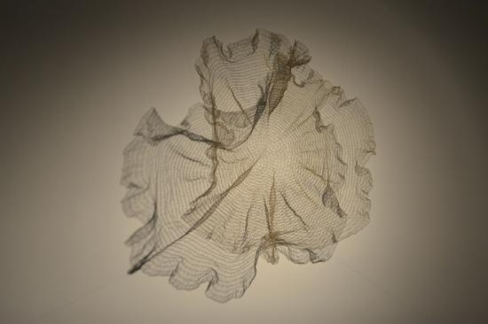 展览作品《空气循环II》 展览作品《空气循环II》