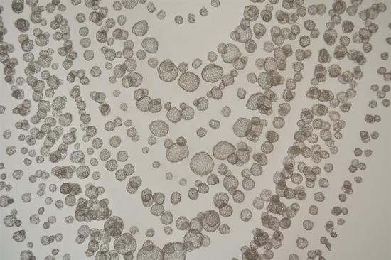 《空气之链》 《空气之链》