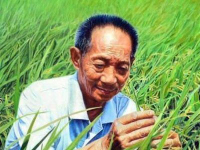 袁隆平 袁隆平