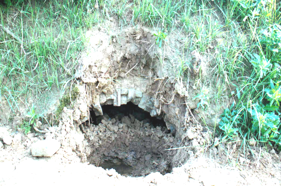 u19591272_13cfabfa895g2_blog u19591272_13cfabfa895g2_blog