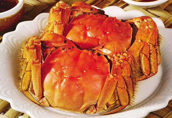 847ef80f6122491c 847ef80f6122491c