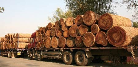 FL1J-fxxneua4393091 FL1J-fxxneua4393091