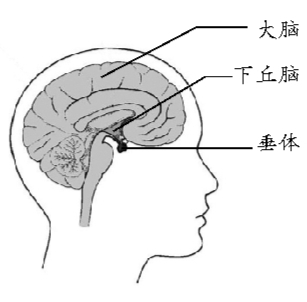 smsb2016110814p49_b smsb2016110814p49_b