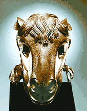 290547_998489 290547_998489