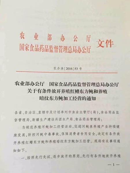 你敢吃吗?首批养殖河豚预计11月底拥有市场流通资质