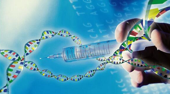 MAIN201611091042165305182256358 MAIN201611091042165305182256358