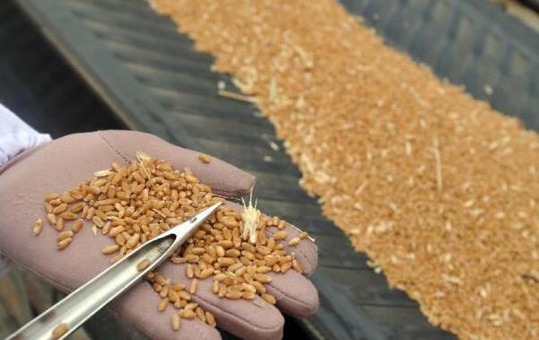 QQ截图20161110140204 QQ截图20161110140204