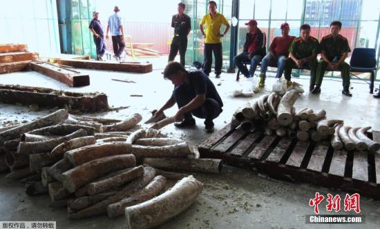 72a5cc23093d44dda610464b8254f887 72a5cc23093d44dda610464b8254f887