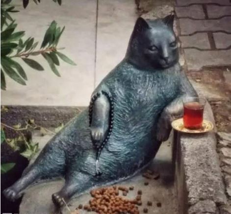 f44d3075896c198e0a0a34 f44d3075896c198e0a0a34