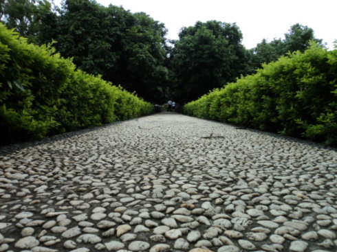 49c112c5g8a2812a06d31&690&690 49c112c5g8a2812a06d31&690&690