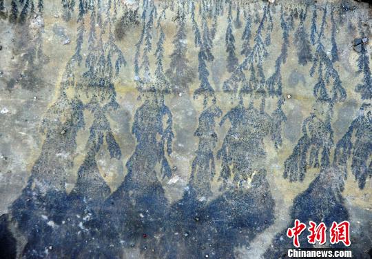 图为酉阳发现疑似天然“岩画”?！〕卤躺?摄