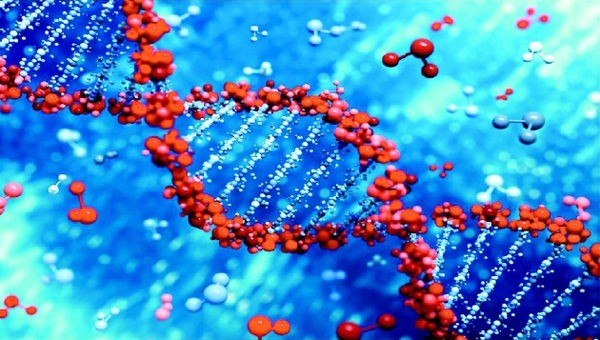 彩C2016-11-16zx501_P_1_428_577_1413_1135 彩C2016-11-16zx501_P_1_428_577_1413_1135