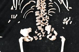 出土的器皿1 出土的器皿1