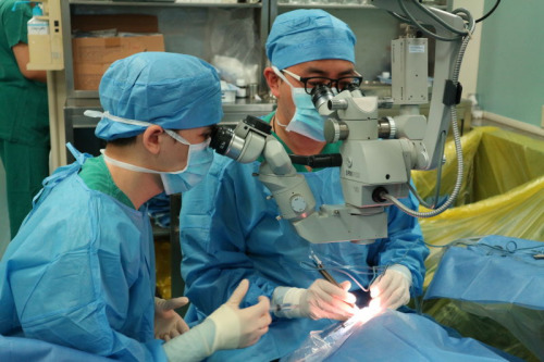 刘凤 摄 刘凤 摄