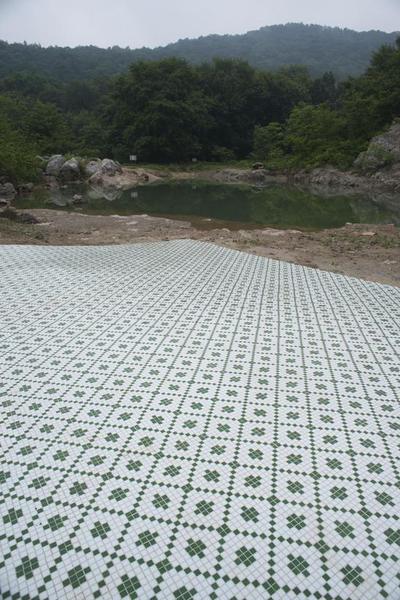 王卫，山中自然史四，地面马赛克，2016