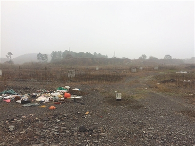 129371551_14796844011541n 129371551_14796844011541n