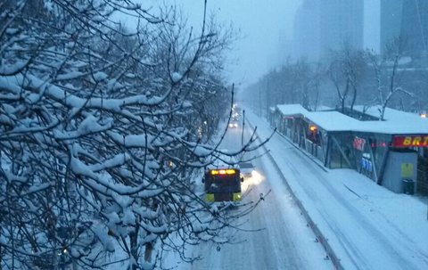 北京迎初雪气温骤降3 北京迎初雪气温骤降3