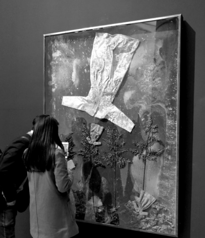 《假设》综合材料：纺织品织物、植物组成