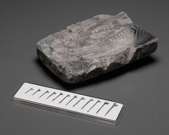 2016西泠秋拍 春秋?越国戈币陶质钱范及小型戈币 尺寸大小不一，最小通长70mm