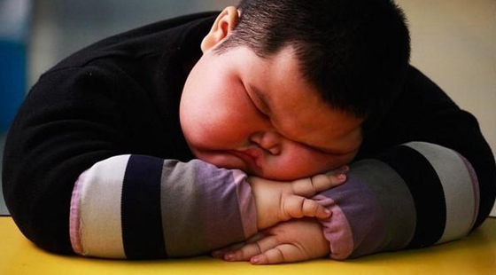 MAIN201611221053481379256646108 MAIN201611221053481379256646108