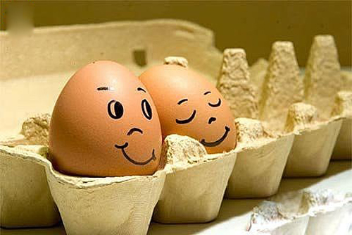 2011042239528953 2011042239528953