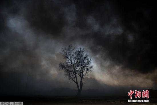 1c31a5843e8a406896bb14fa2e22c1f9 1c31a5843e8a406896bb14fa2e22c1f9