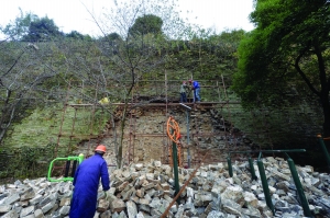 原文配图：南京明城墙小桃园段局部坍塌，工作人员正在搭脚手架准备维修。 [保存到相册]