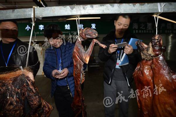 将猫肉当兔肉卖上餐桌 将猫肉当兔肉卖上餐桌
