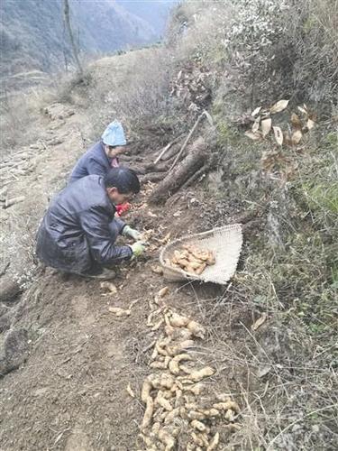 女子名为潘金莲 称“名字而已，有什么要紧”