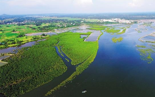 W020161128515262852232 W020161128515262852232